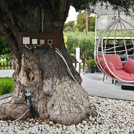 Garlis بساكوذيا