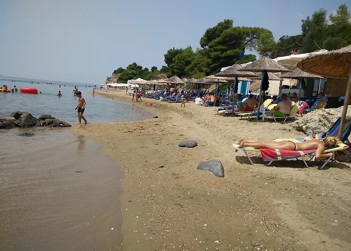 Garlis Psakoudia